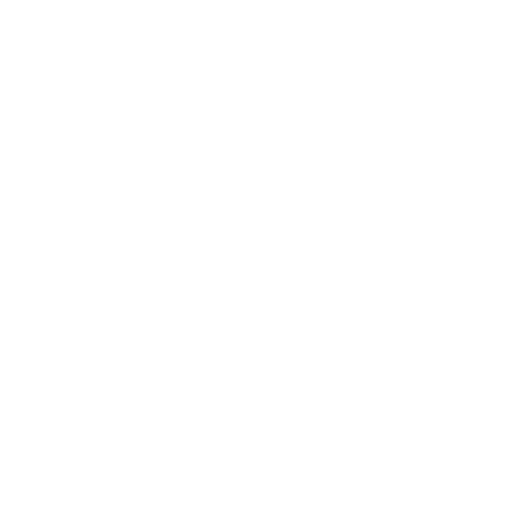 service-globe